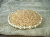 Susam Nerede Yetişir?